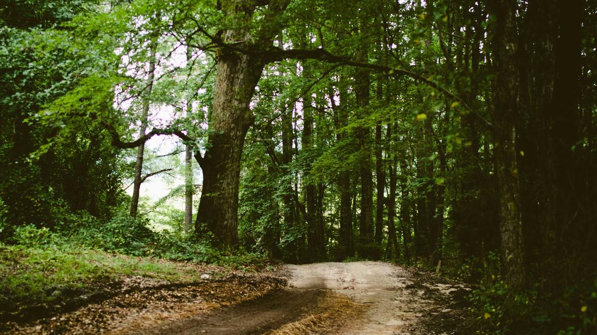 Symbolbild zum Thema Silikonfugen
