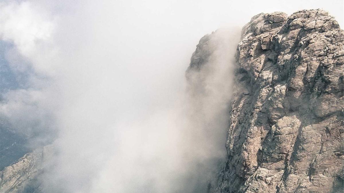 Symbolbild zum Thema Silvia Wollny