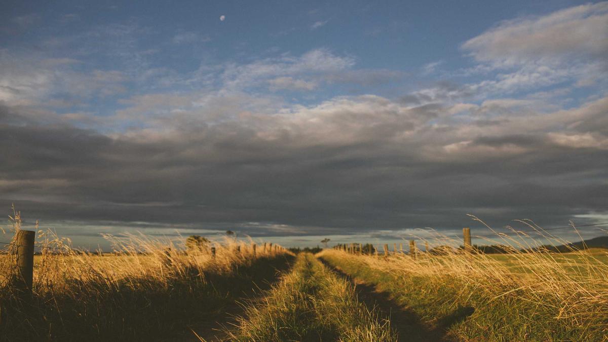 Symbolbild zum Thema Skeets Der Woche