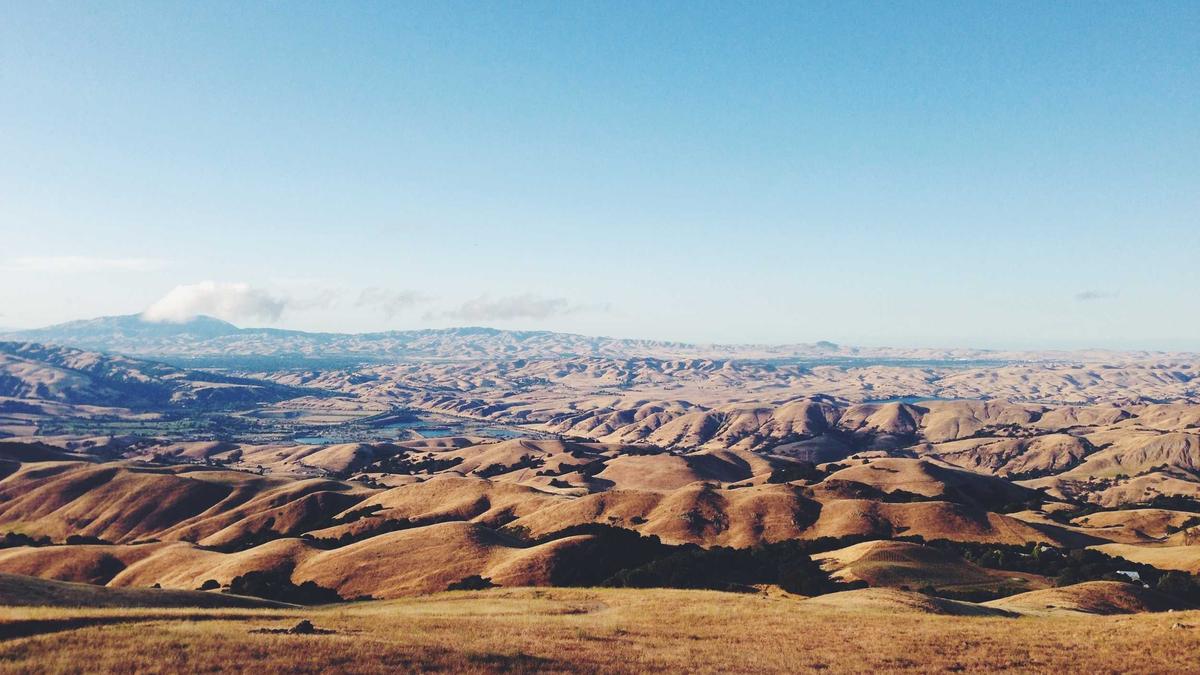 Detailansicht: Skeets Der Woche