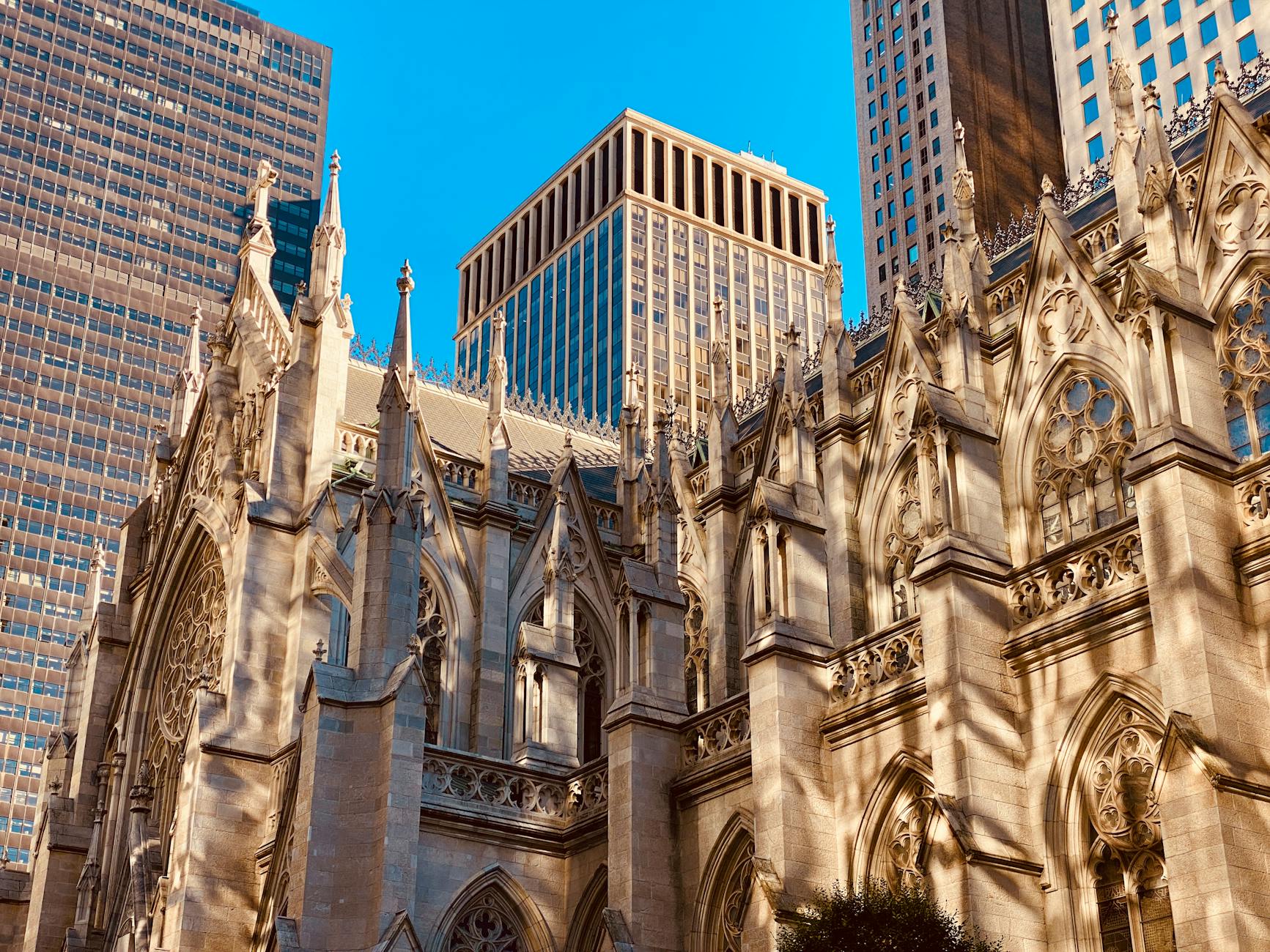 Illustration zu South Africa VS Canada