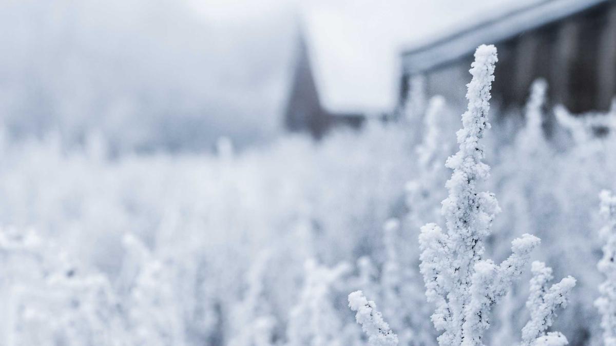 Detailansicht: Späterer Schulbeginn