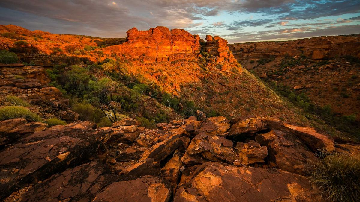 Detailansicht: Spö Parteichef Babler