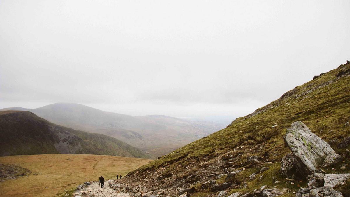 Detailansicht: State Of The Union 2026