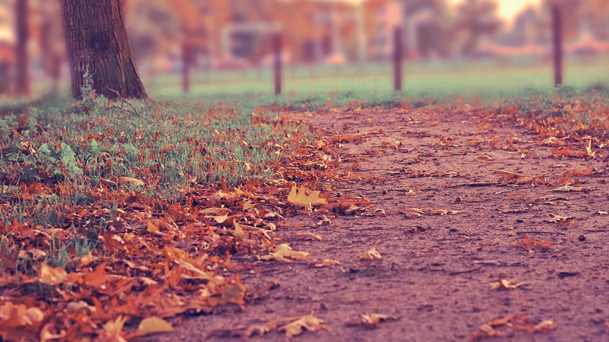 Illustration zu Steffen Freund