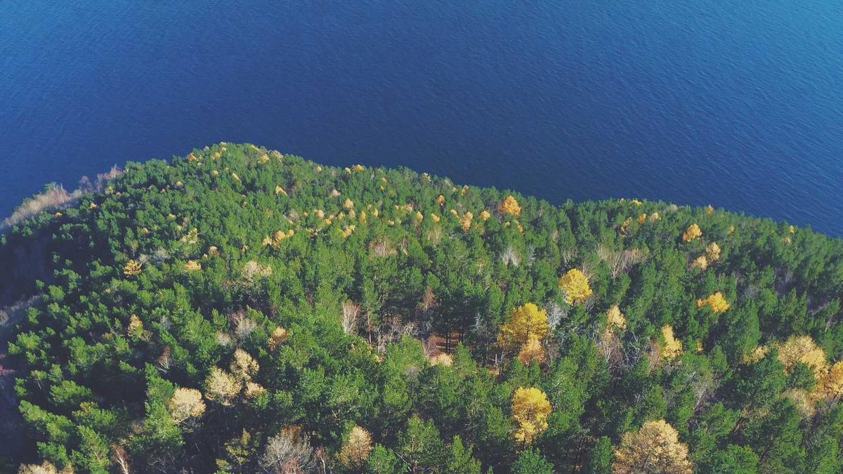 Illustration zu Steiermark Polizei Mobbing