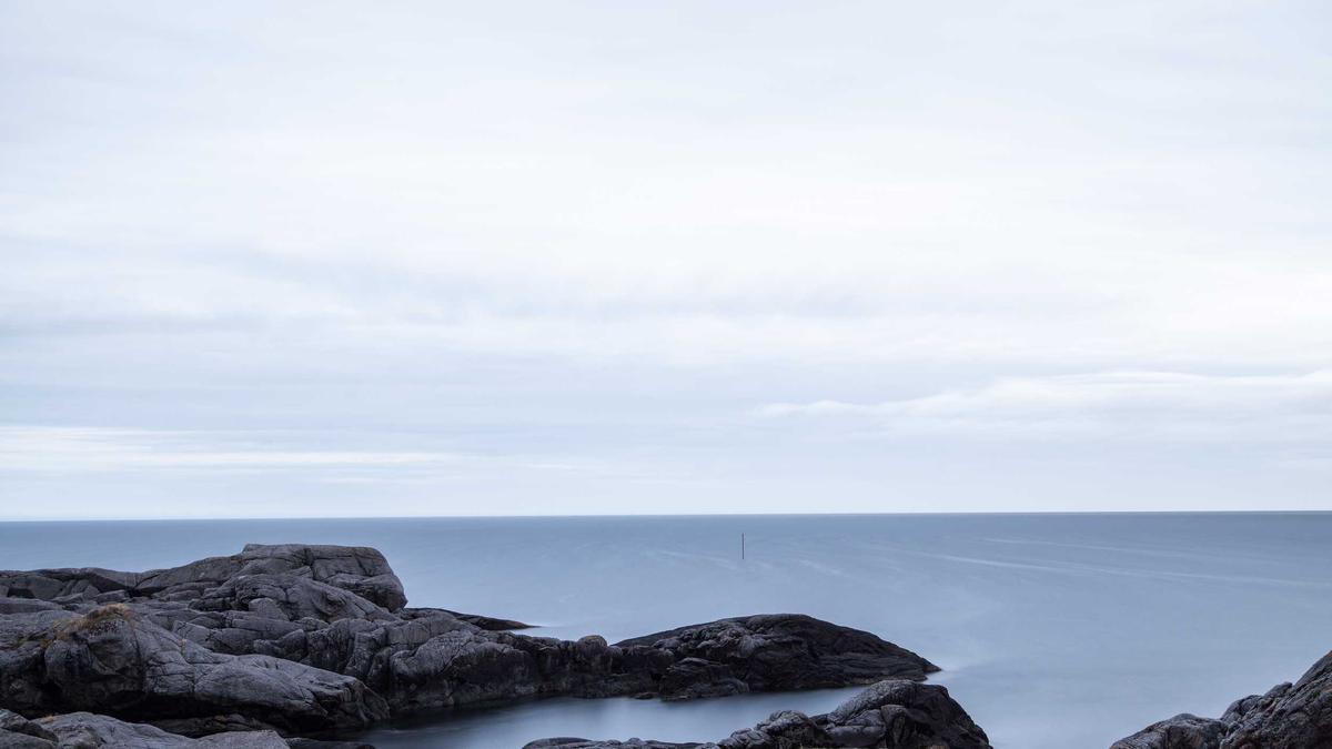 Symbolbild zum Thema Sternzeichen Fische