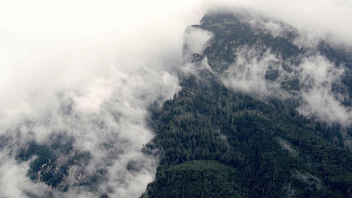 Detailansicht: Studie Krafttraining Senioren