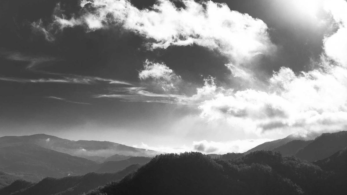 Illustration zu Stütze Betrug