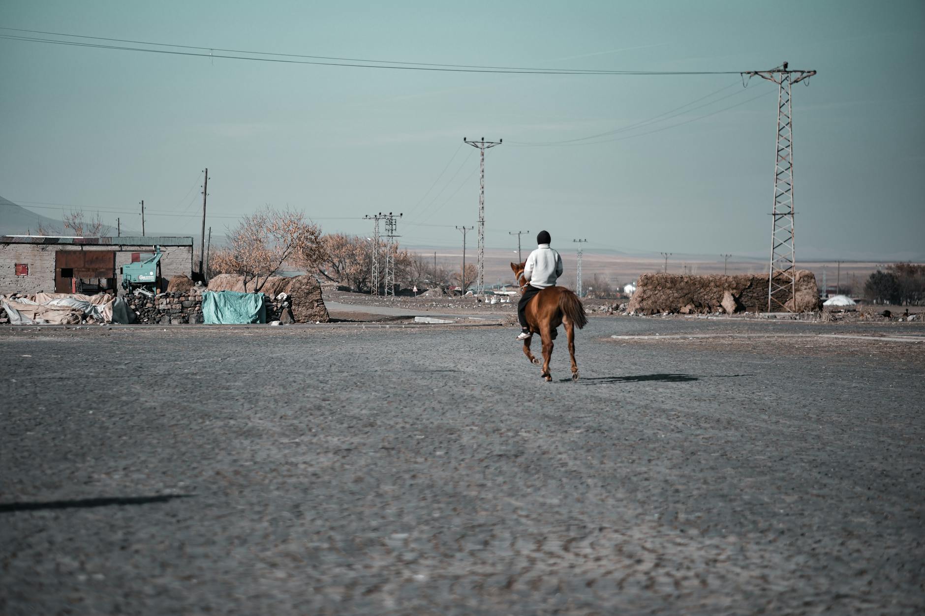 Detailansicht: Suchbild Hund Mann