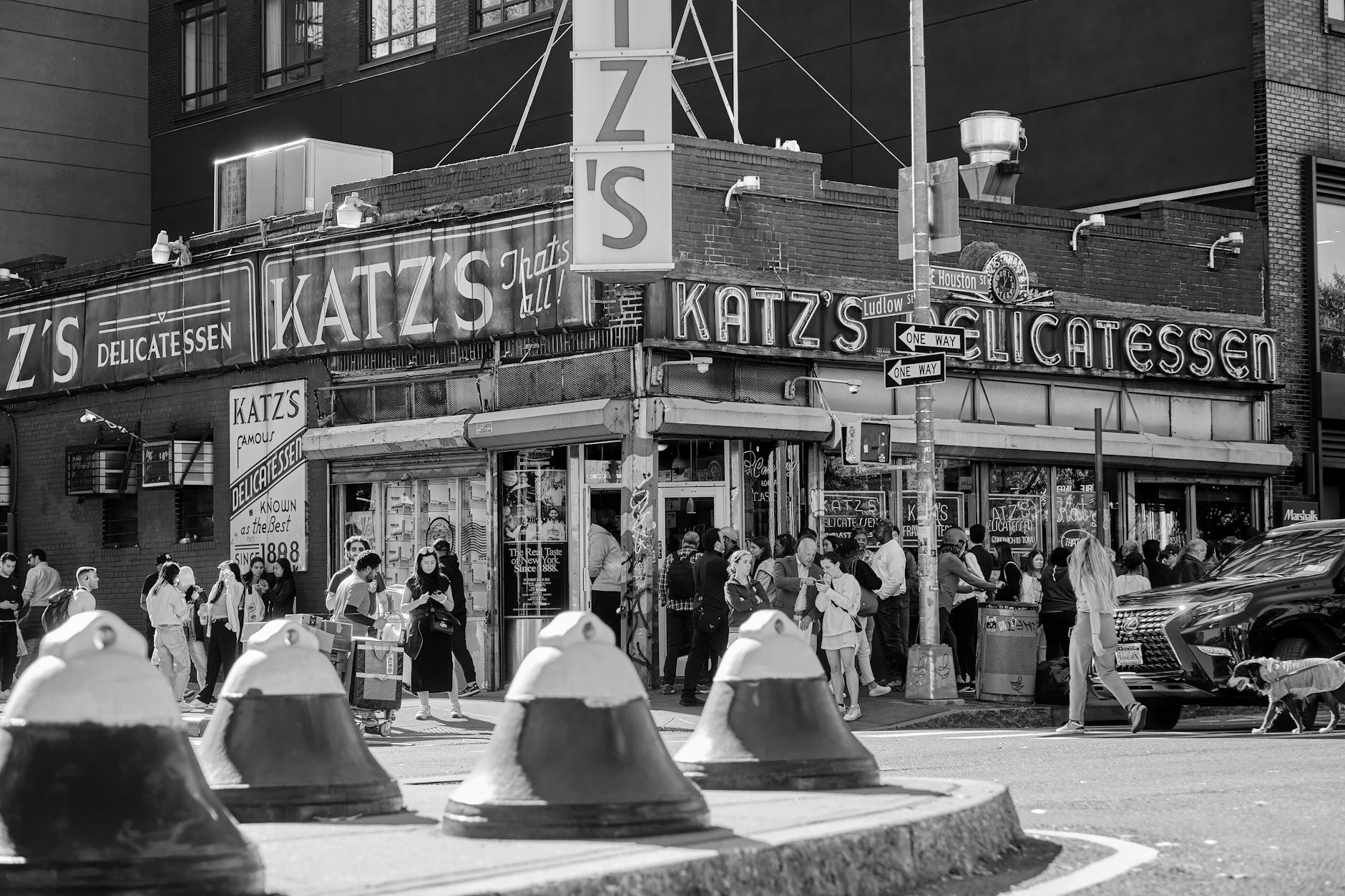 Illustration zu Suchbild Katze