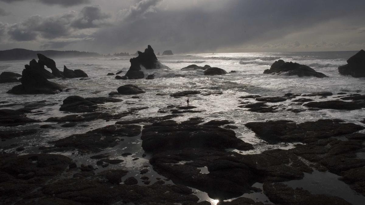 Symbolbild zum Thema The Gates Film