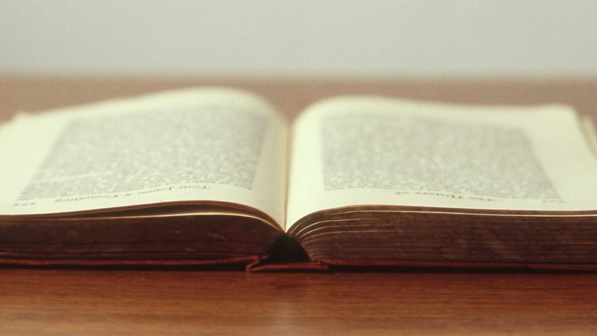 Detailansicht: Tim Walter