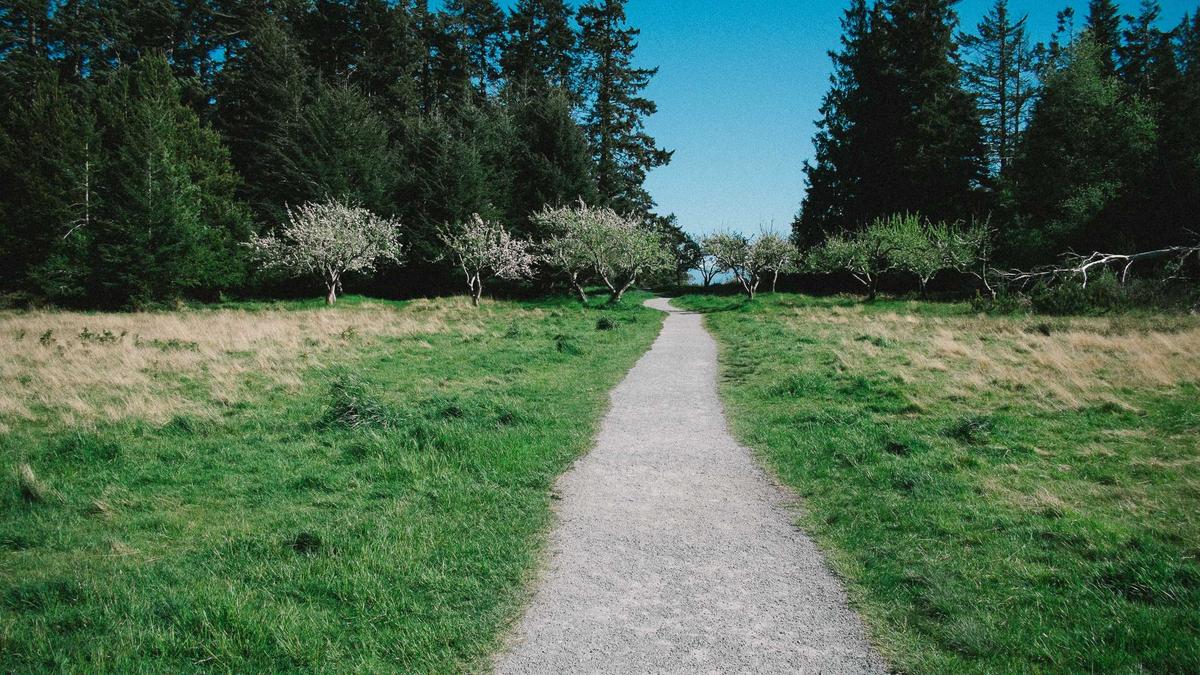 Symbolbild zum Thema Tötungsdelikt Dortmund