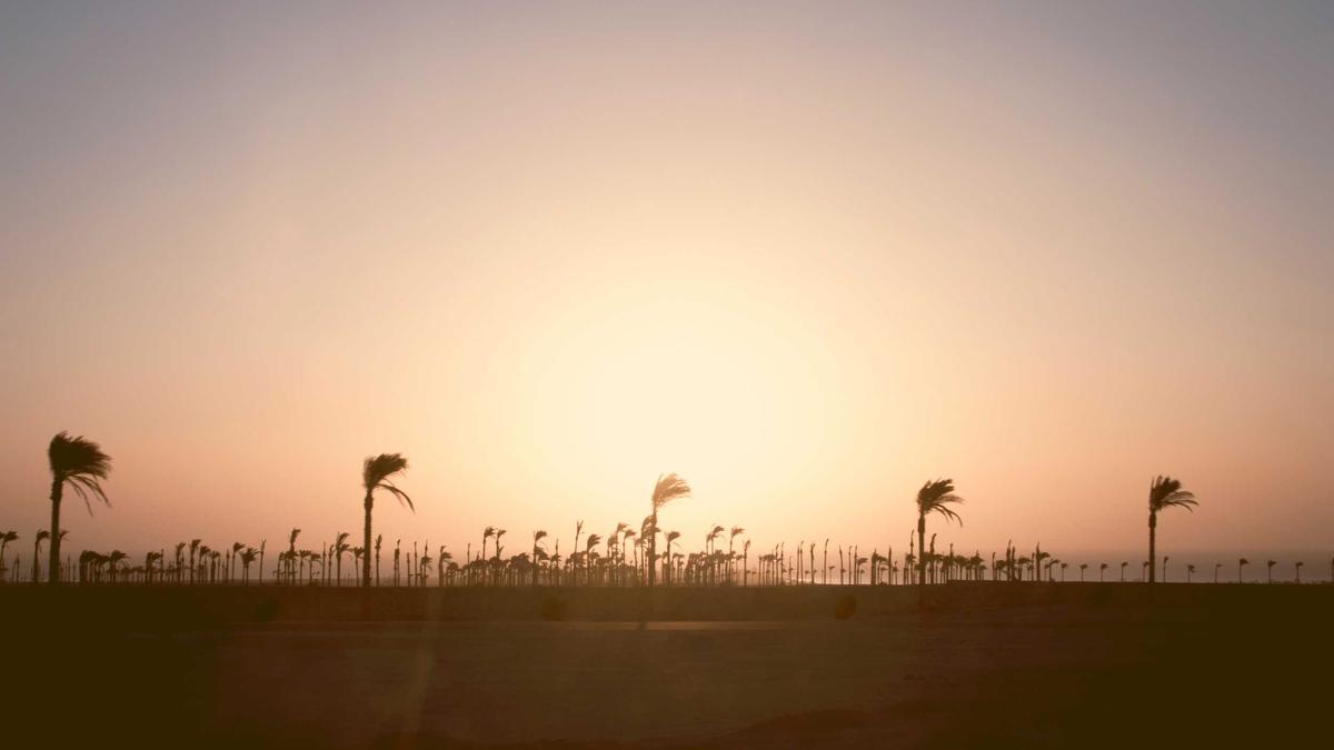 Detailansicht: Trump Friedensrat