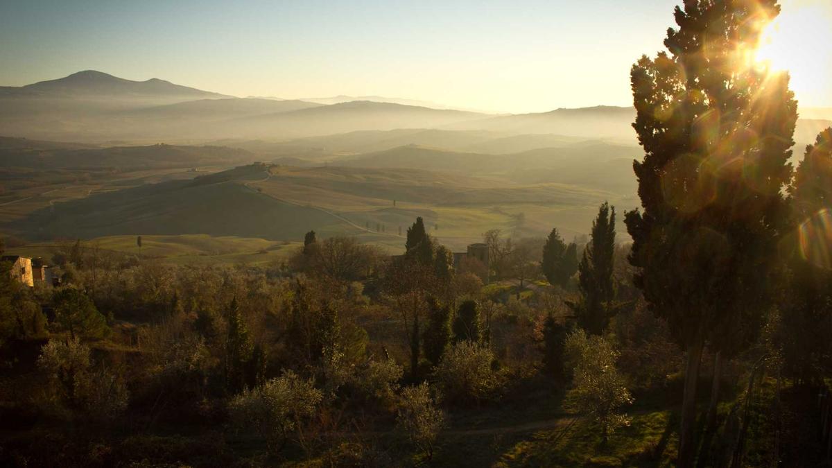 Detailansicht: Trump Zölle