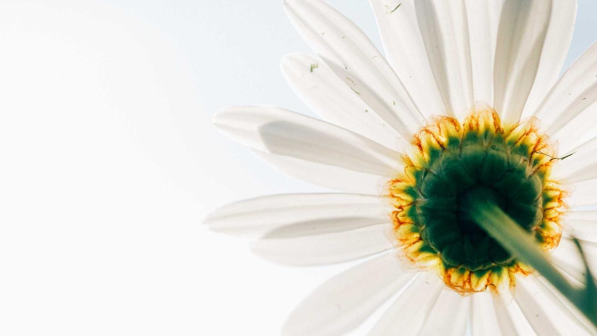 Illustration zu Union Berlin – Leverkusen