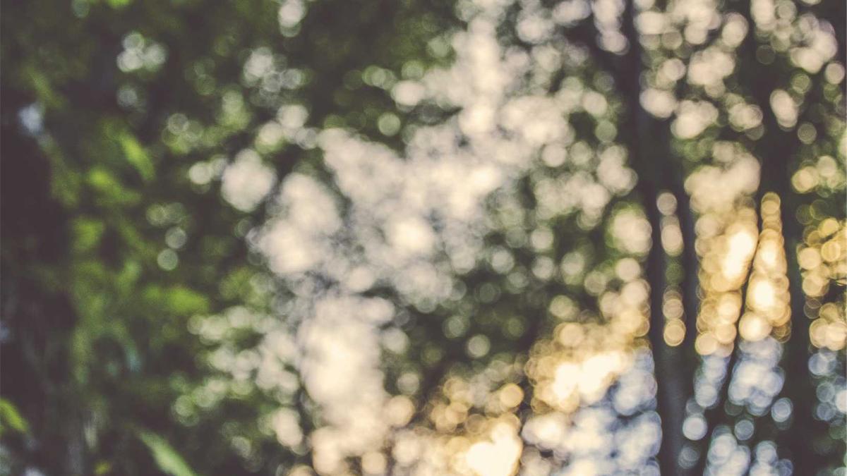 Detailansicht: Urteil Großglockner