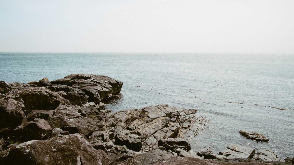 Symbolbild zum Thema Us Hockey Team Trump