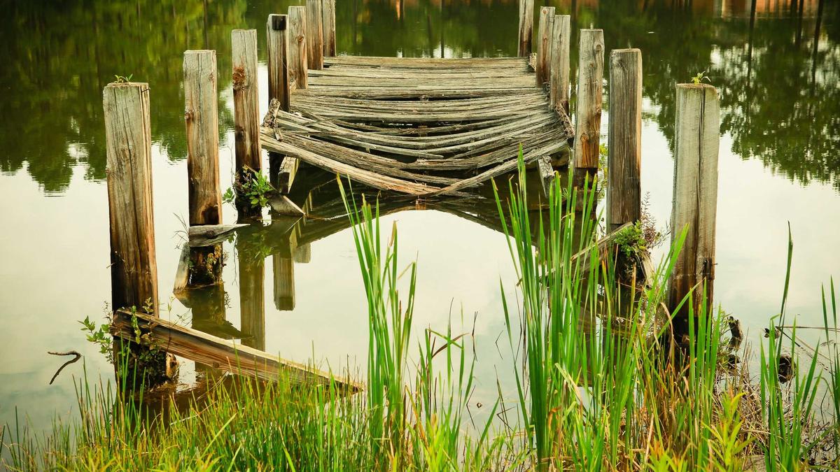 Illustration zu Us Kapitol Angriff