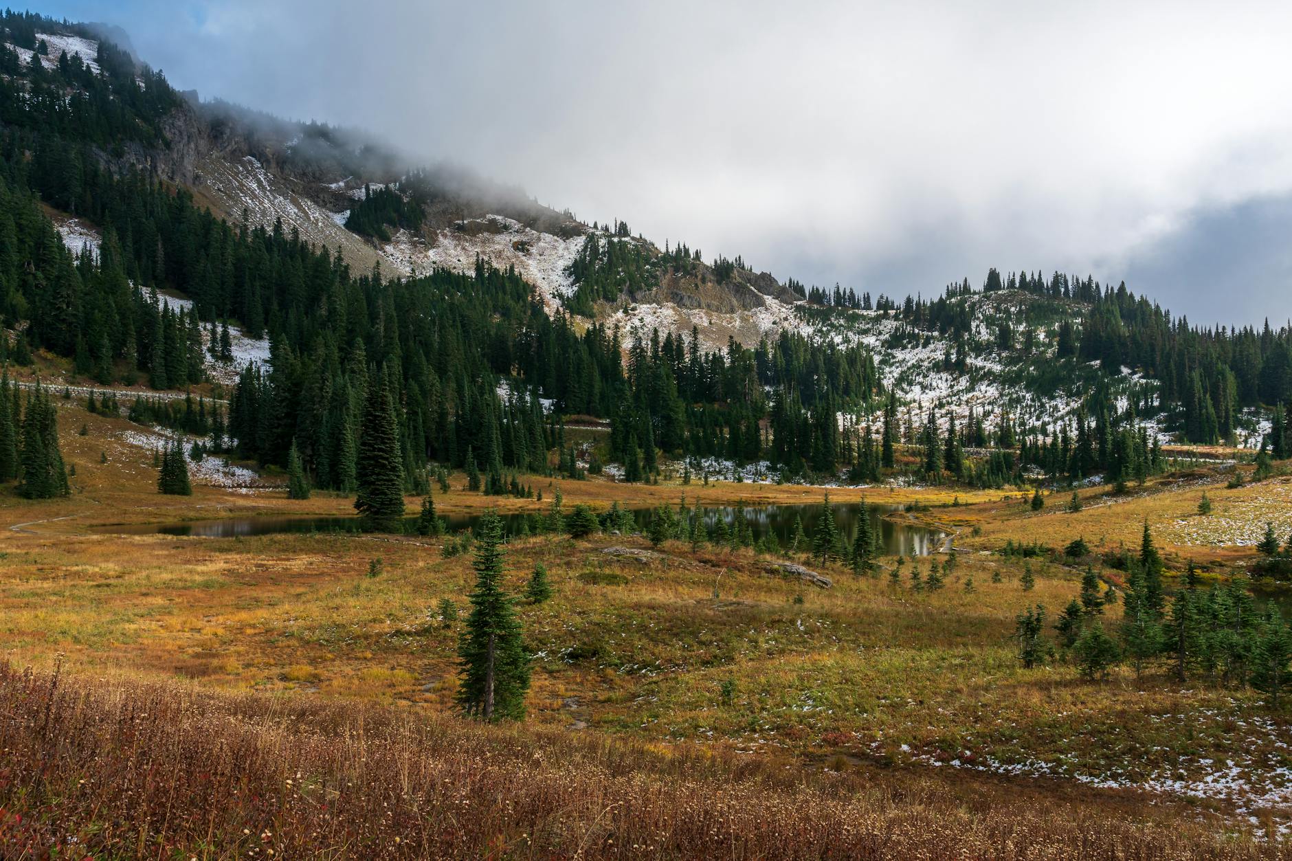 Detailansicht: Väter Nach Scheidung