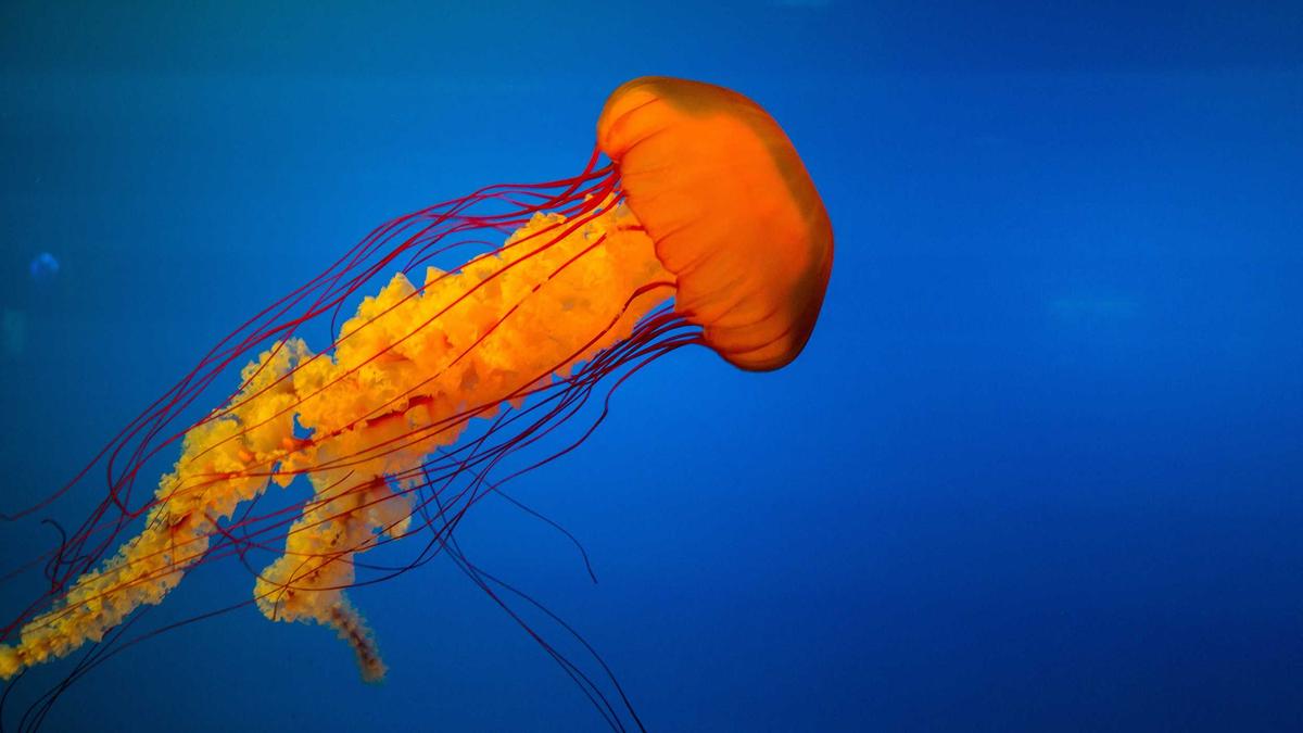 Illustration zu Verdi Streik Autobahn