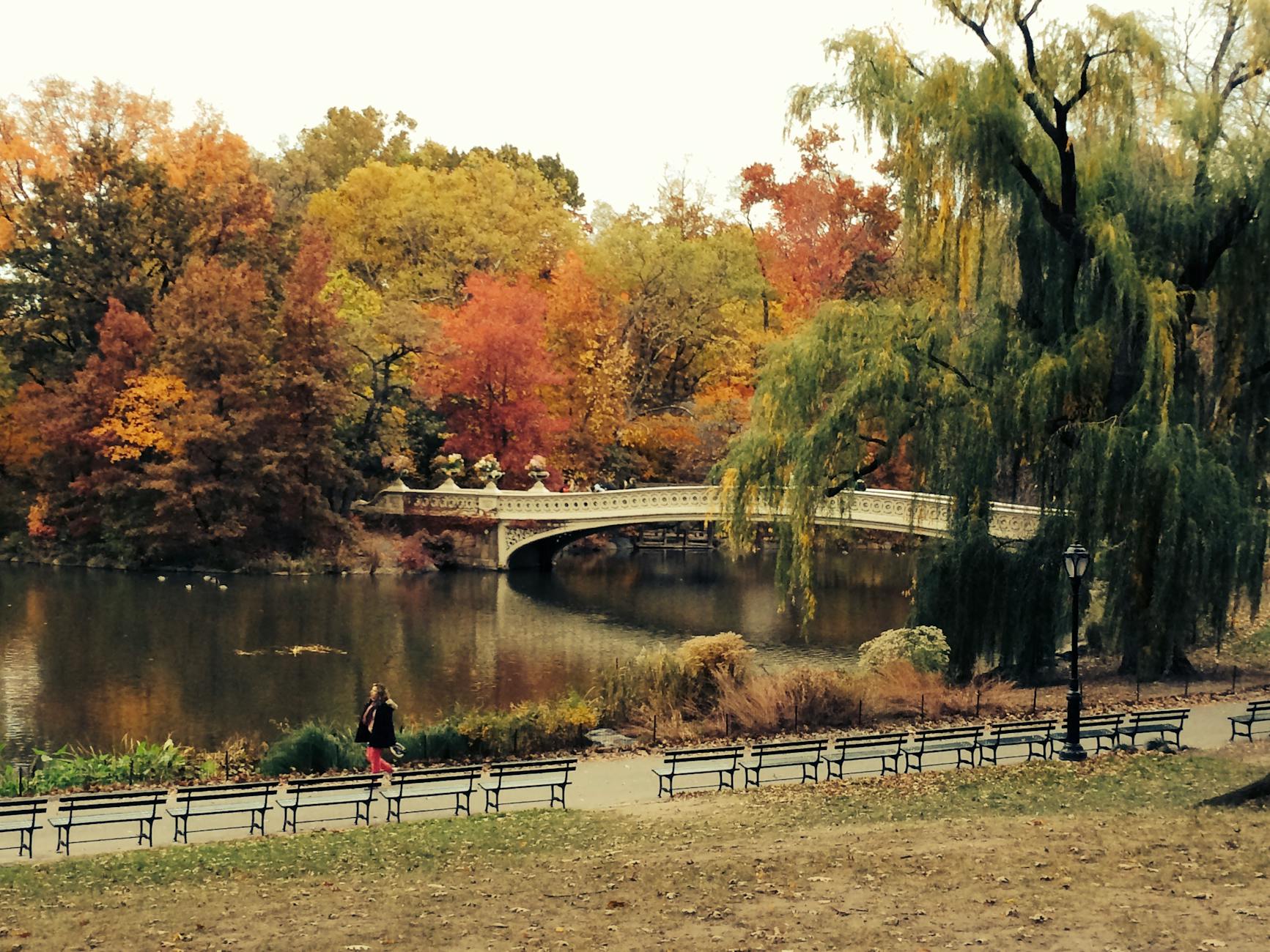 Symbolbild zum Thema Vereinigte Staaten Von Amerika Mailand Cortina 2026