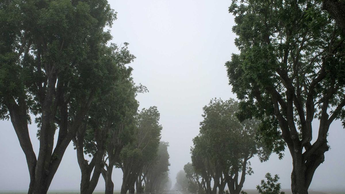 Symbolbild zum Thema Victoria Jones Todesursache