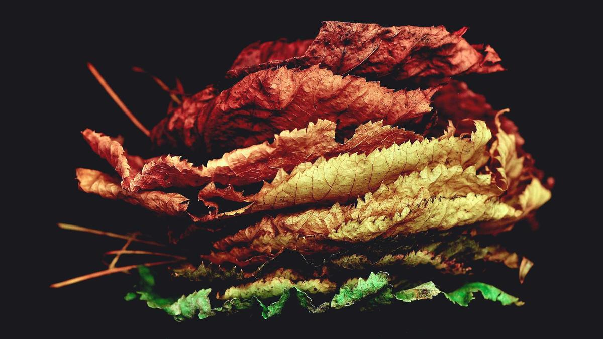 Detailansicht: Von Der Leyen