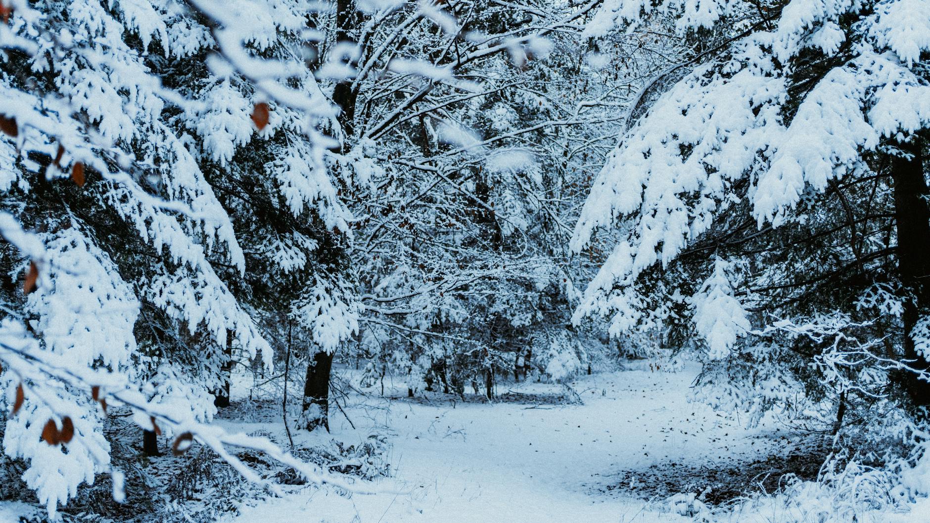 Illustration zu Wohnmobil Dachlast Schnee
