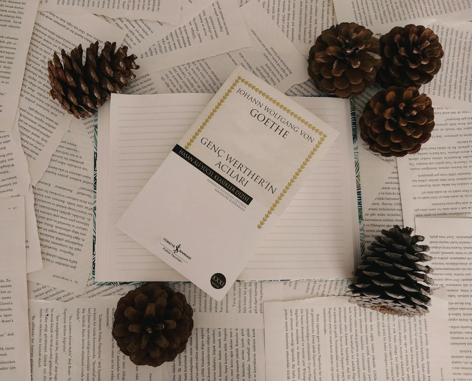 Detailansicht: Wolfgang Kindl