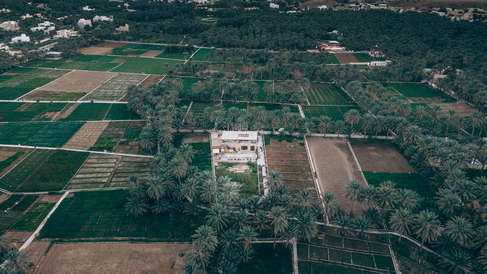 Illustration zu Wuthering Heights 2026