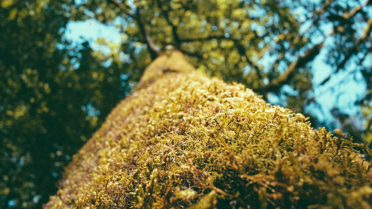 Illustration zu Xbox Phil Spencer