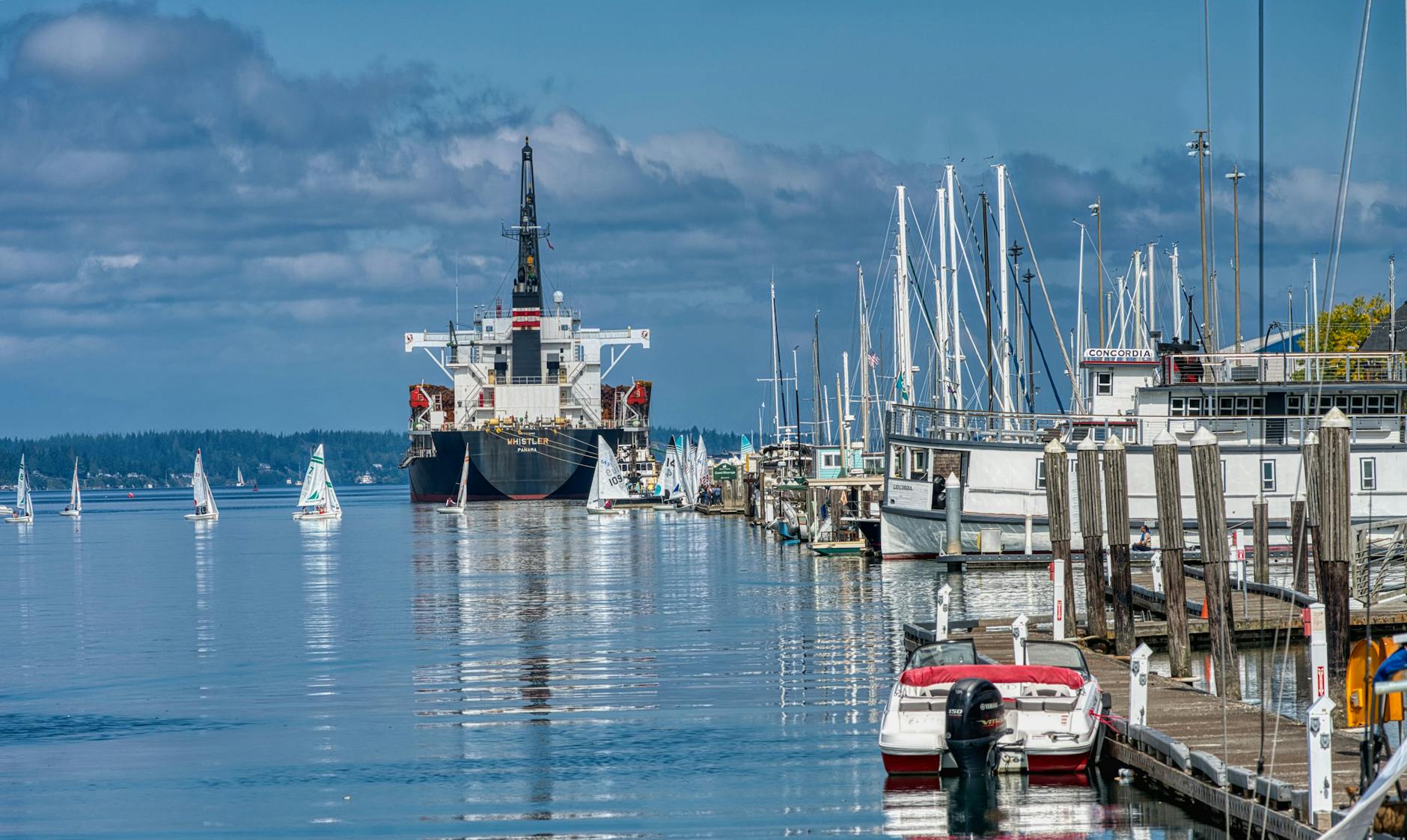 Detailansicht: ZDF Olympia Livestream
