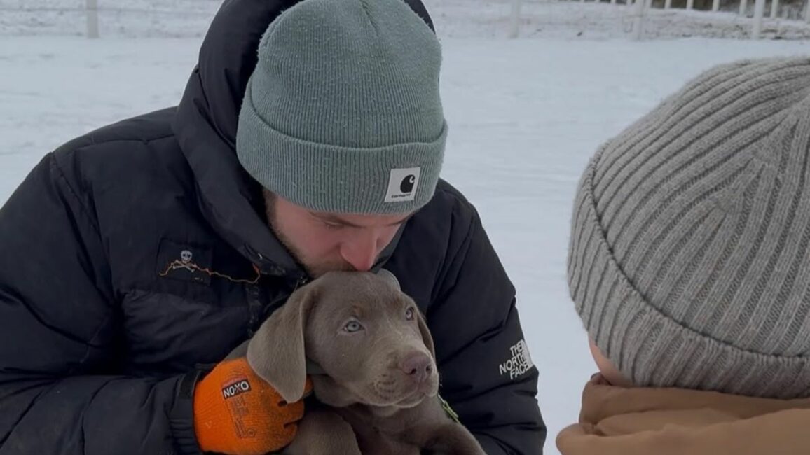 Philipp Stehler: TV-Polizist wird wieder Papa