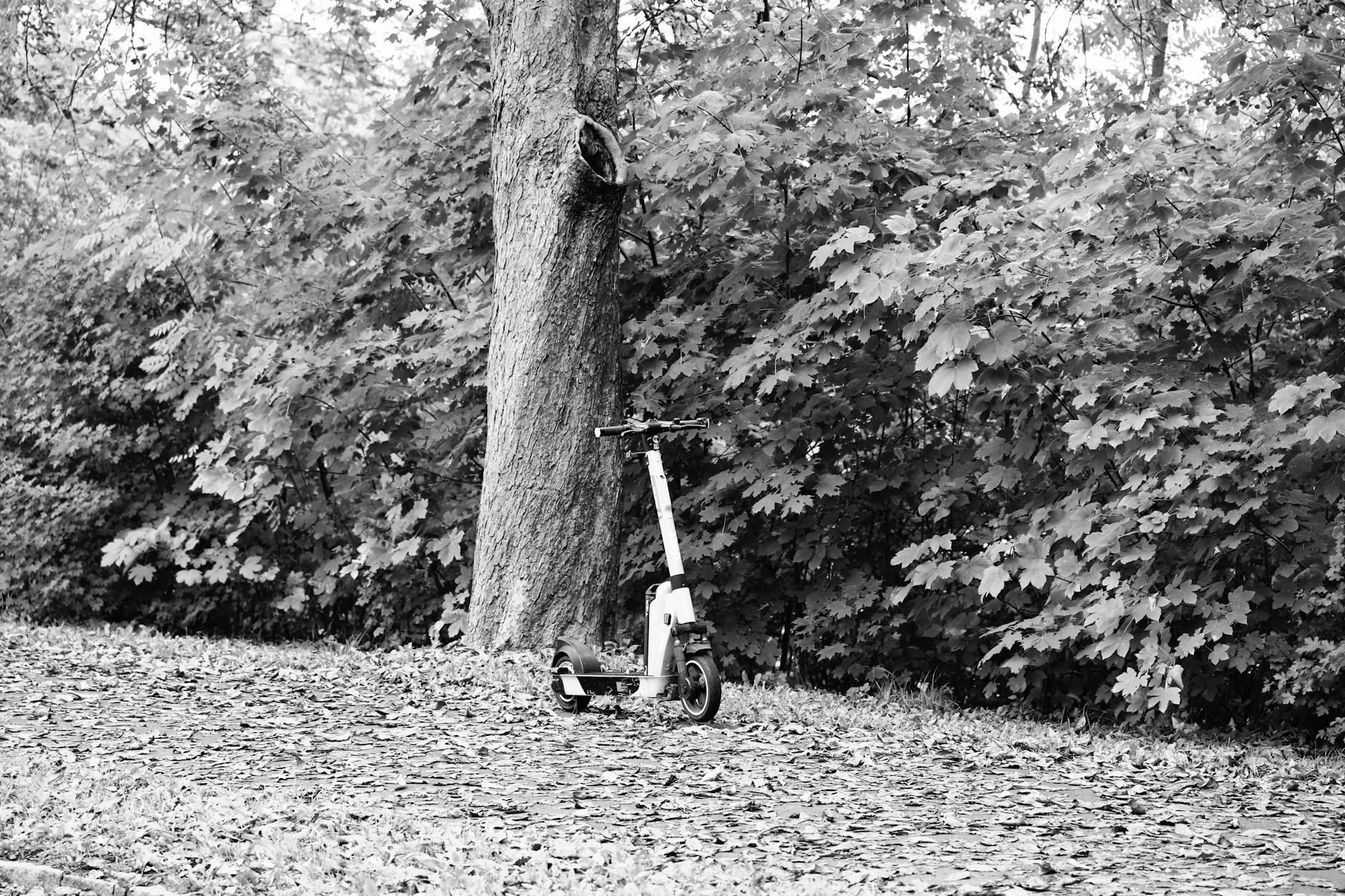 Illustration zu 1860 München – Erzgebirge Aue