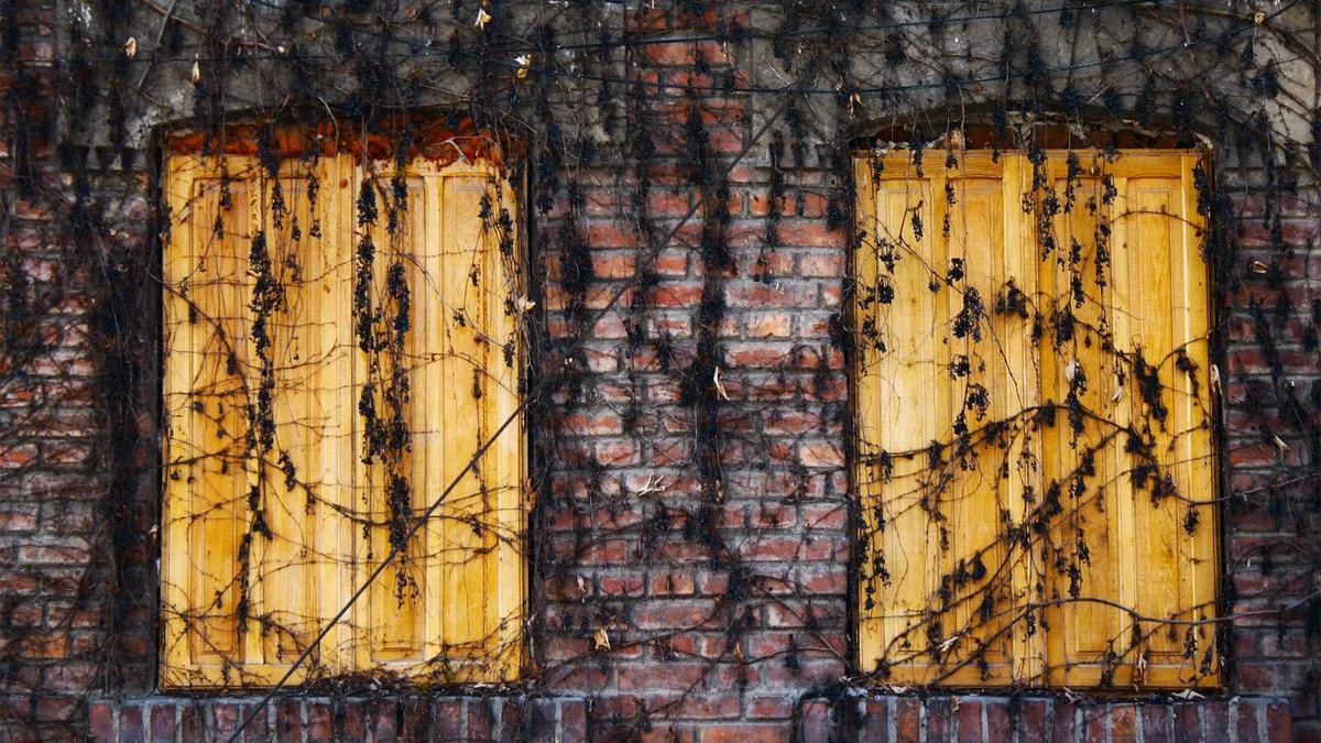 Illustration zu Alexandra Janssen Interview