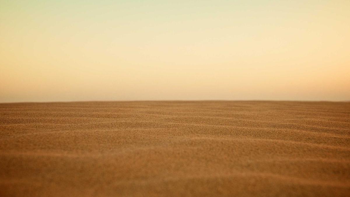 Detailansicht: Alireza Arafi