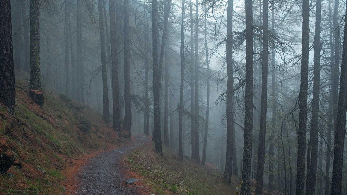 Symbolbild zum Thema Amazon Smartphone