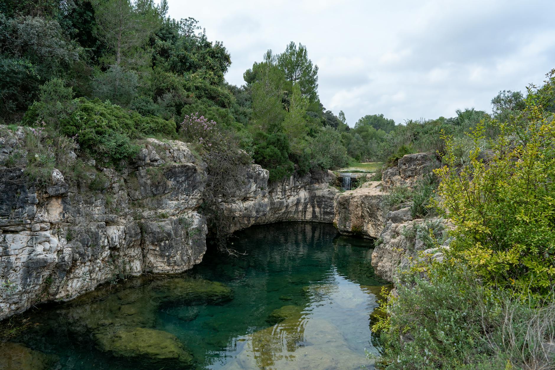 Illustration zu Anna Lena Forster