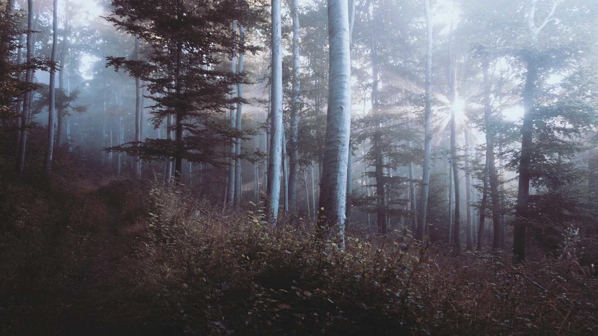 Detailansicht: Avatar 3