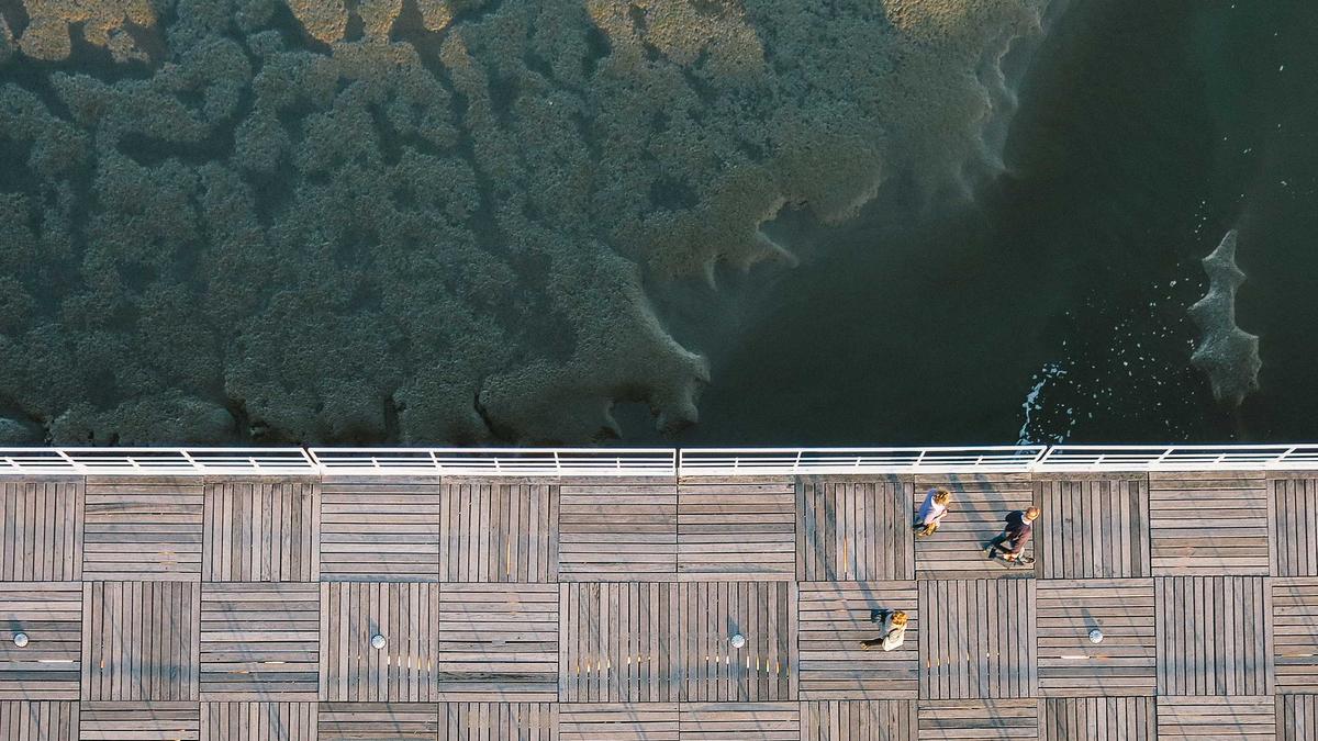 Detailansicht: BTSV – Preußen Münster