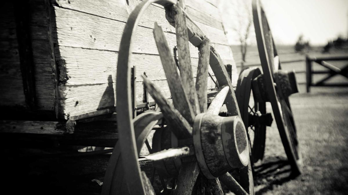 Detailansicht: Cremonese - Milan