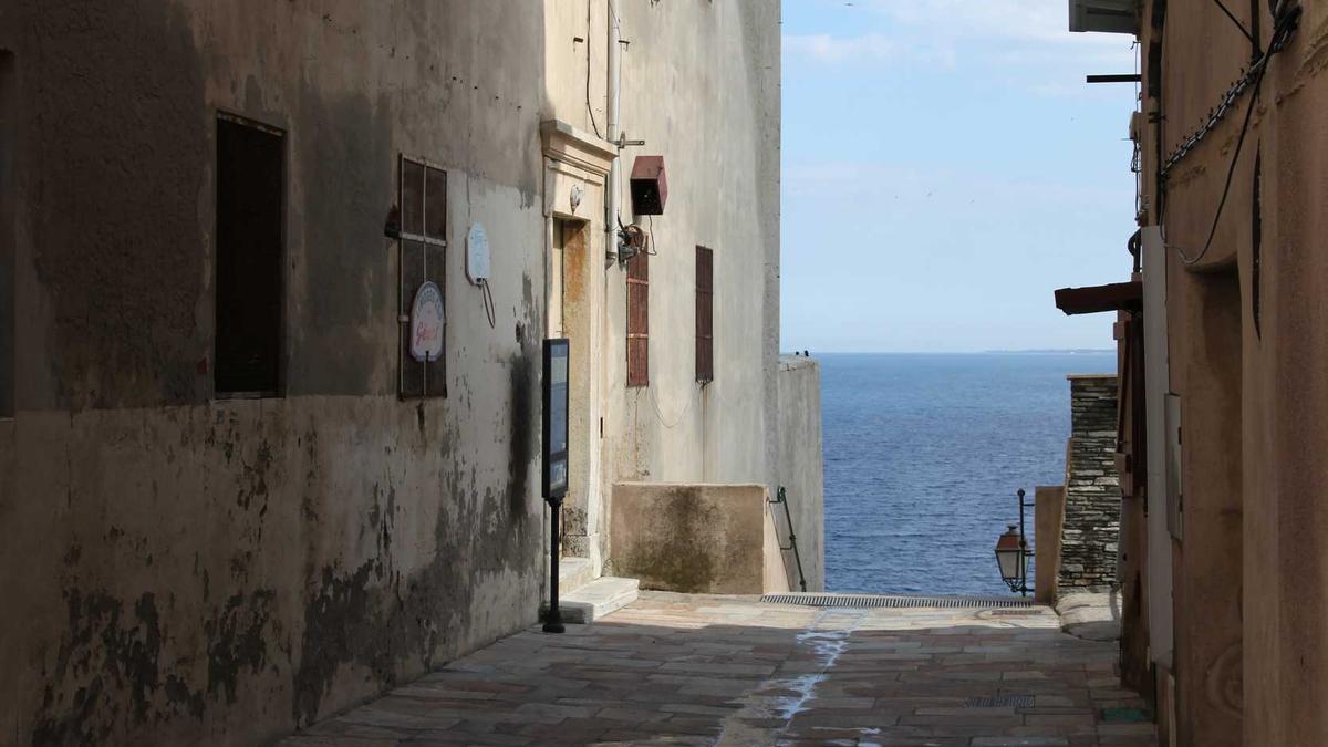 Detailansicht: Ditaji Kambundji