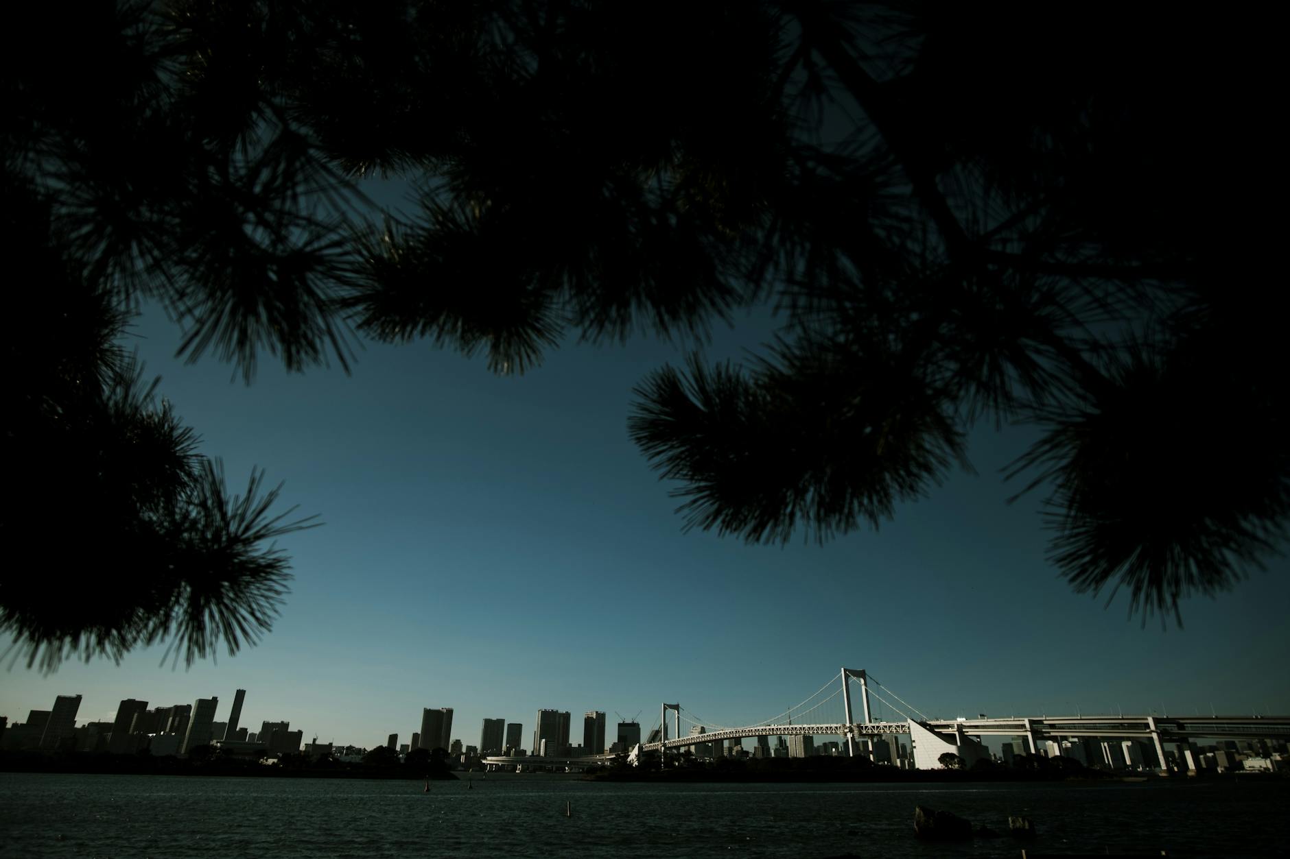 Illustration zu Donald Trump Japan