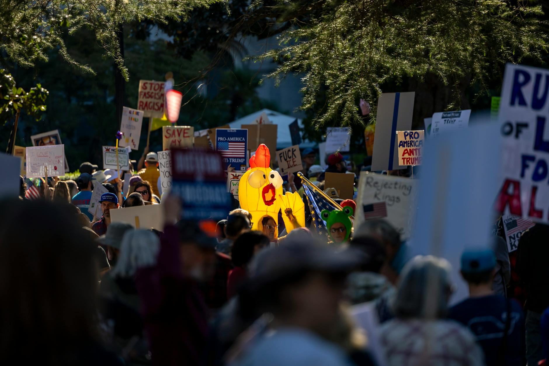Detailansicht: Donald Trump Zölle