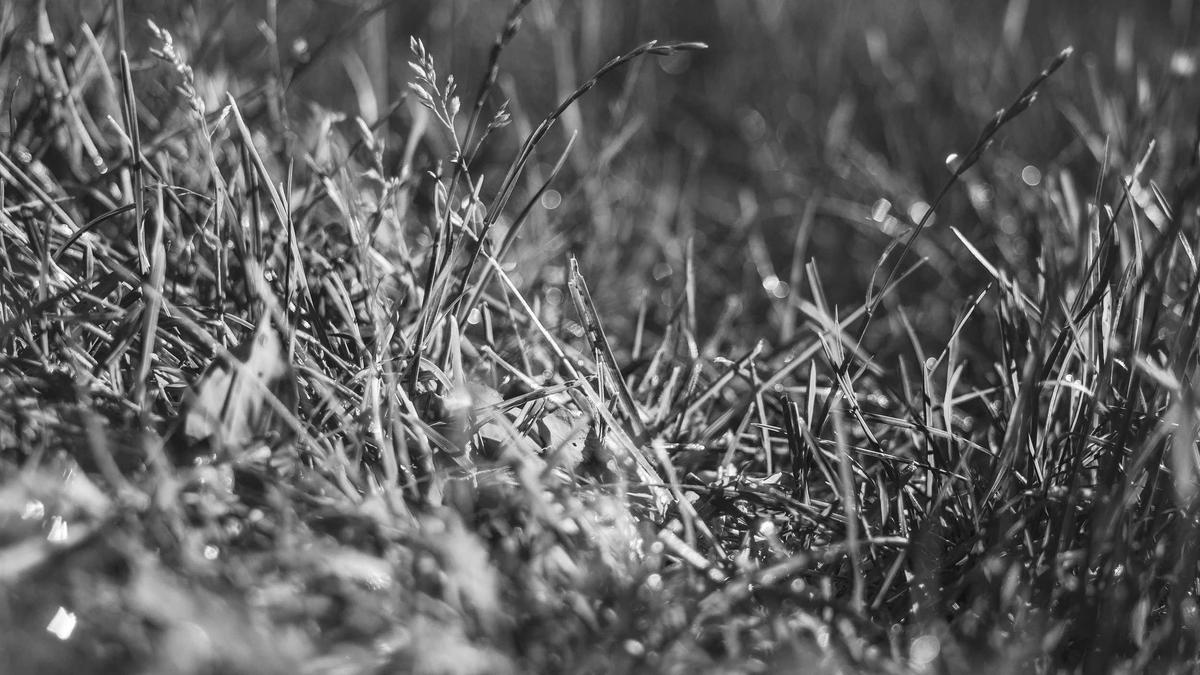 Detailansicht: Drohnenabwehr Ukraine