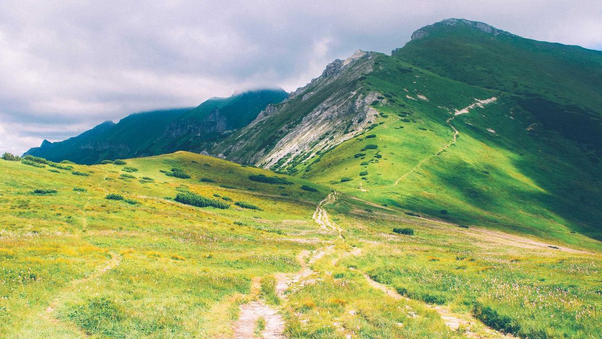 Elektrische Reinigungsbürste Symbolbild zum Thema Elektrische Reinigungsbürste