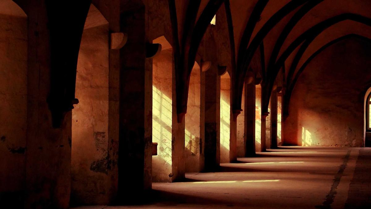 Illustration zu Erdbeben Tonga