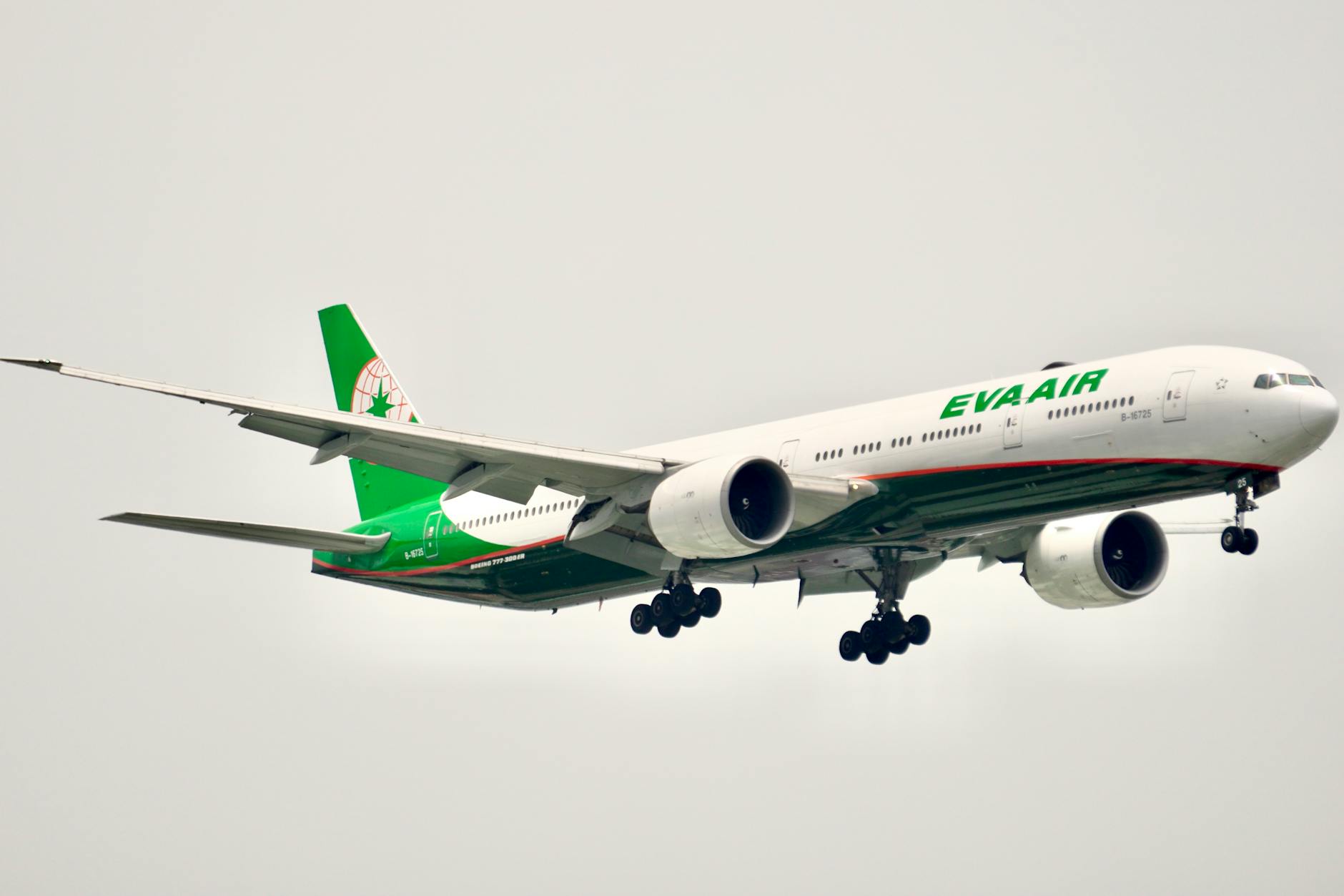 Detailansicht: Eva Habermann